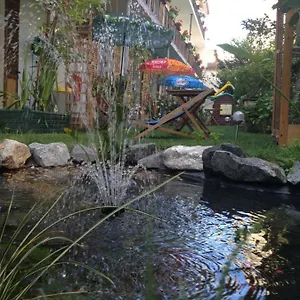 book here